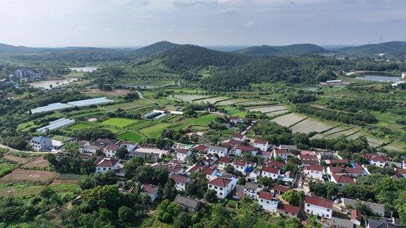 江蘇特色田園鄉村鎮江句容市天王鎮戴莊村.