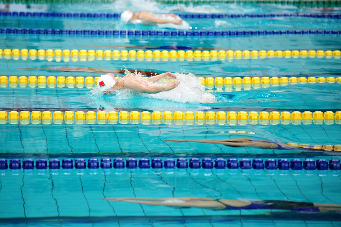 国内众多游泳名将出战全锦赛。