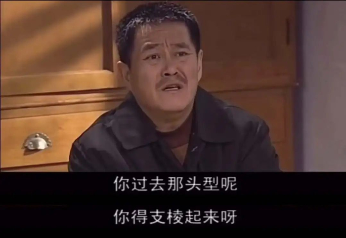 00年代它是《马大帅》里的经典台词,是:你过去内头型呢,你得支棱起来