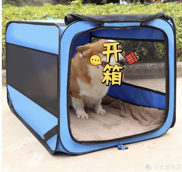 盘点3款适合狗狗用的狗窝,你家用的哪种?|狗