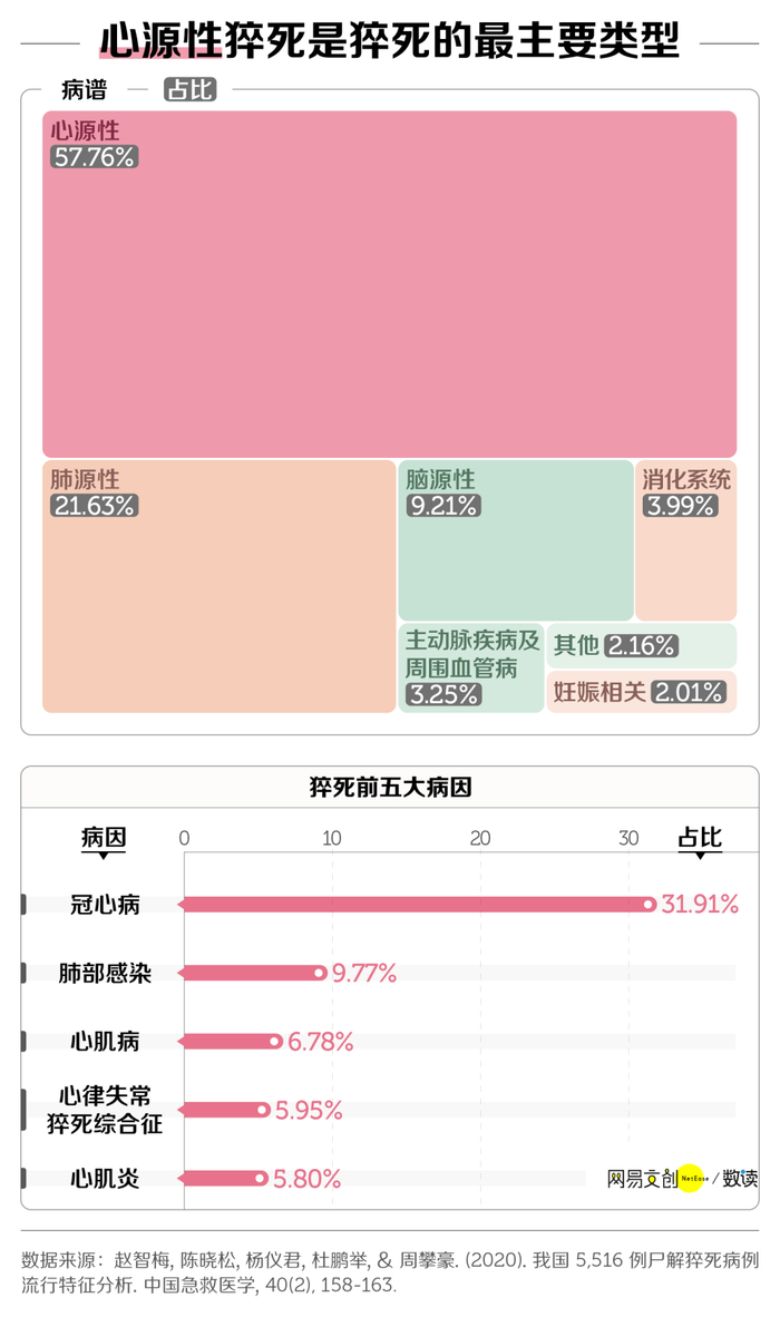 图源：网易文创/数读