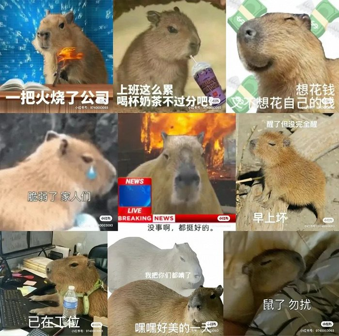 小红书用户创作的卡皮巴拉表情包