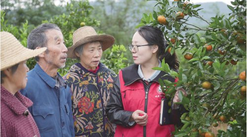　　第二届全国乡村振兴青年先锋标兵马晓丽（右一）正在指导农户柑橘转色期施肥和病害防控技术要点。　受访者供图