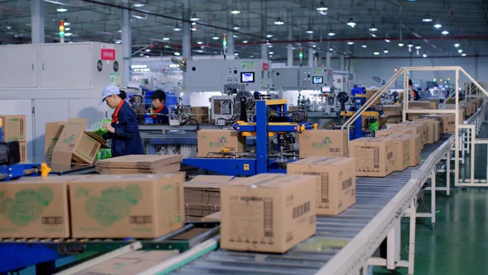 ▲ 河南舒莱卫生巾工厂生产线