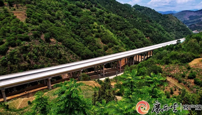 隆林委乐至革步高速公路一期工程隆林枢纽主线桥。广西交通投资集团 供图