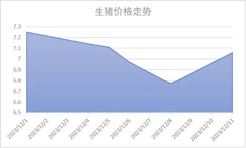 mysteel數據顯示,今年以來淘汰母豬價格持續下跌,仔豬價格也創下近年