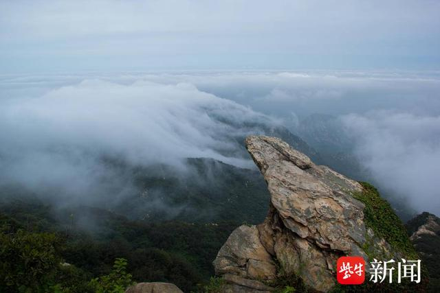 鹰游踏浪（资料图片）