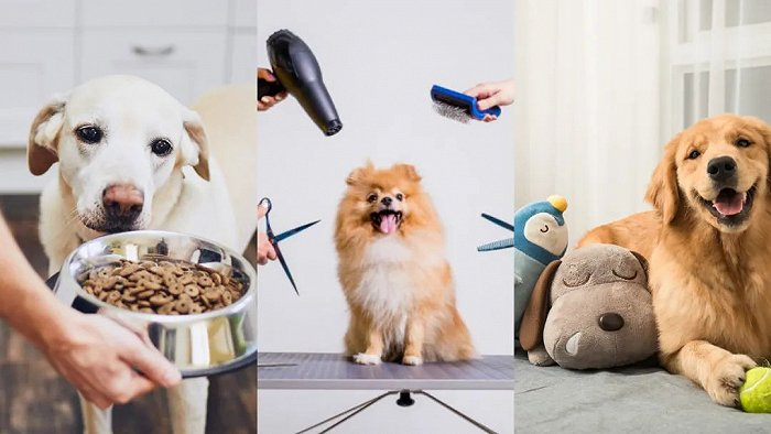 来源：istockphoto、self、小红书