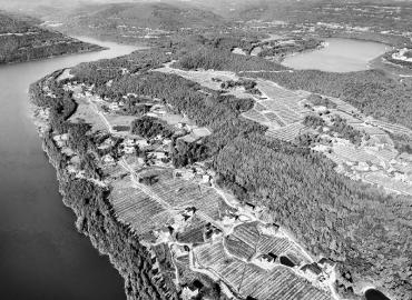 苍溪亭子湖现代农业园区一角。