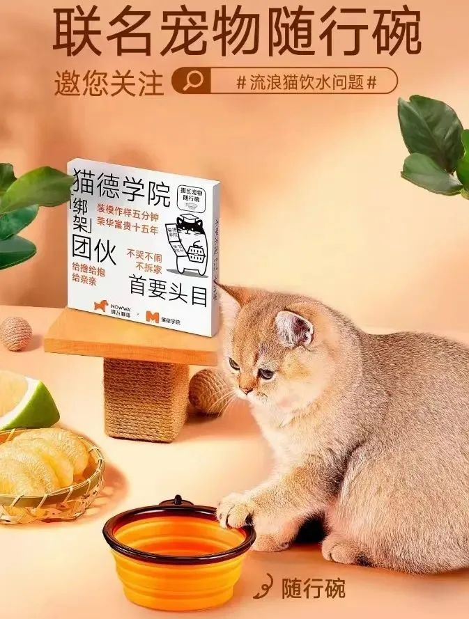 来源：挪瓦咖啡