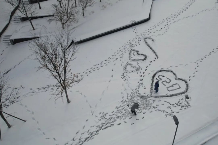 别发呆,看着雪景说"哇噻"|郑州市_新浪新闻