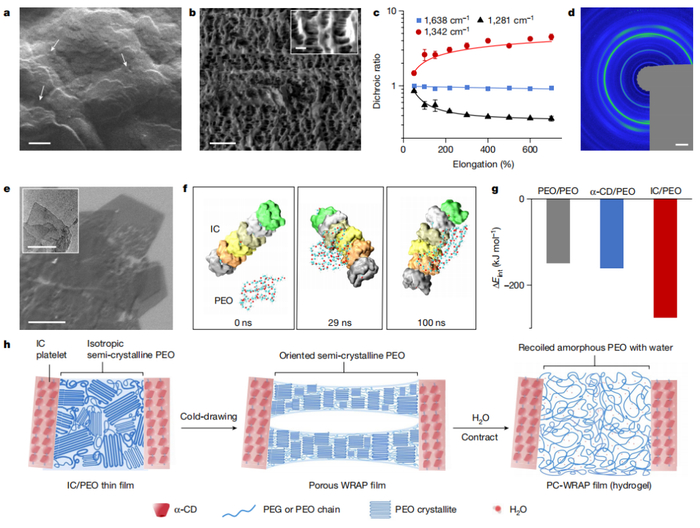 （来源：Nature）