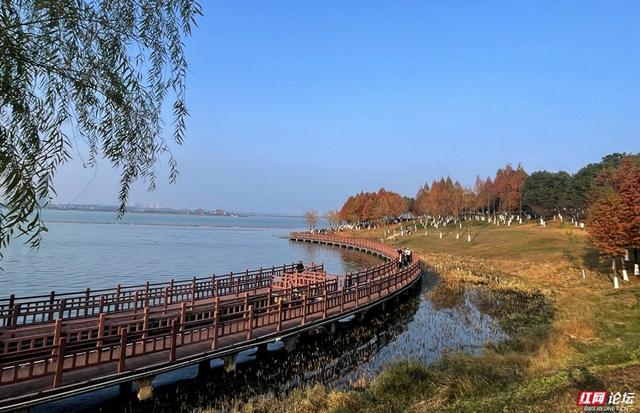 見證啞湖蝶變從家門前的沼澤到美麗的松雅湖溼地公園