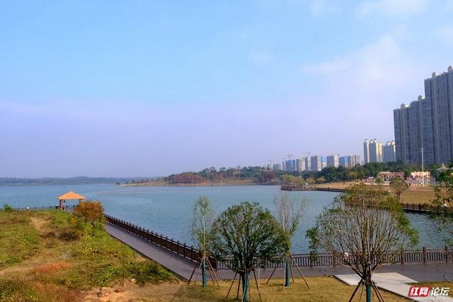 見證啞湖蝶變從家門前的沼澤到美麗的松雅湖溼地公園