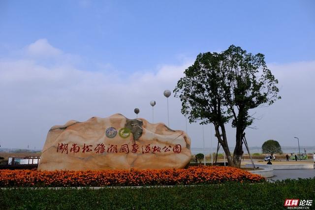 見證啞湖蝶變從家門前的沼澤到美麗的松雅湖溼地公園