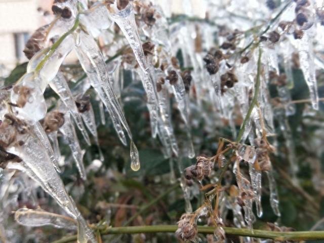 雨夹雪实图图片