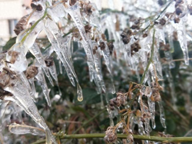 今天白天郑州雨夹雪转大到暴雪|暴雪|雨夹雪|多云_新浪新闻