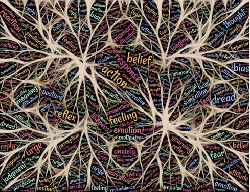 图片来源：pixabay