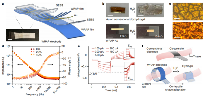 （来源：Nature）