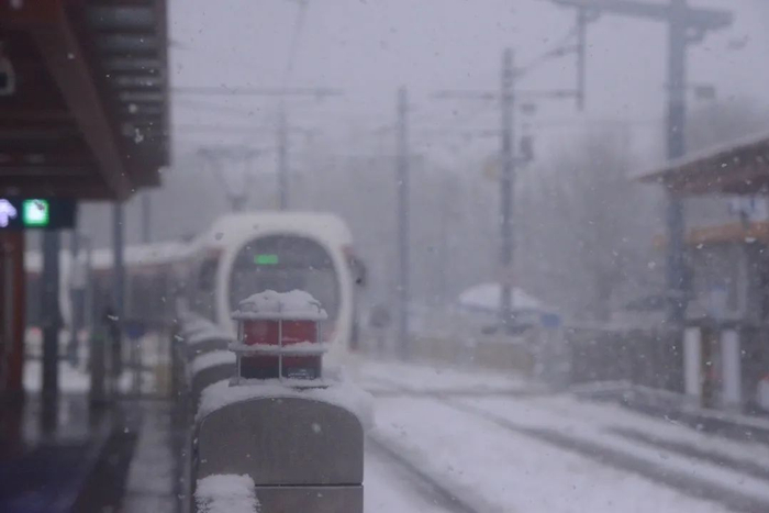 ▲图源：卡乐图片 宁颖 摄