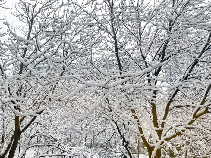 ▲图源：卡乐图片 贾琼 摄