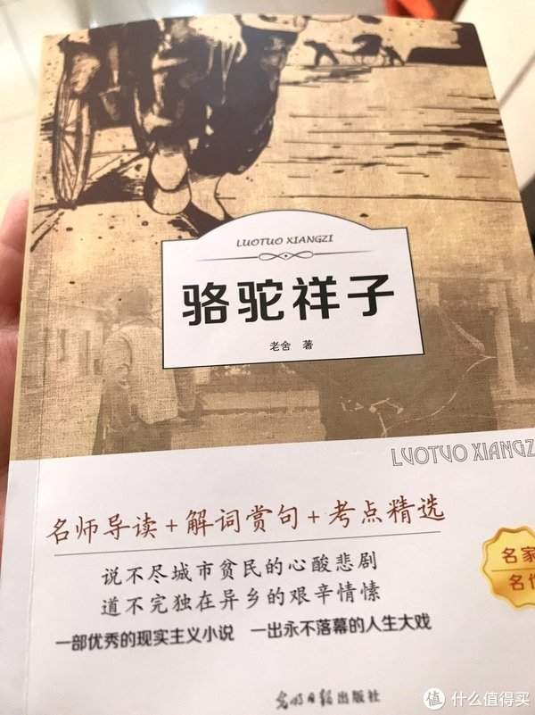 原本生活在北极的鸟儿,在南方将会度过一个怎样的假期...