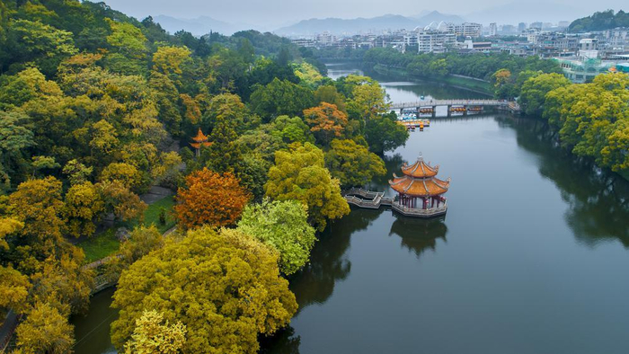 潮州坚持产业生态化和生态产业化相结合,发挥丰厚森林资源优势,通过