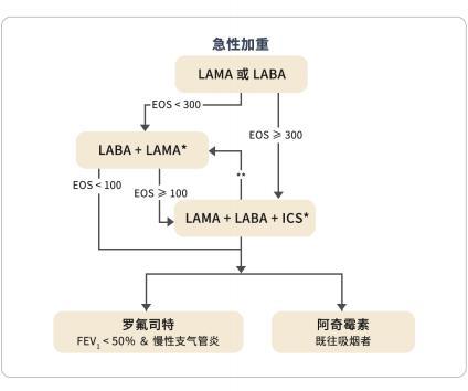 gold2024重磅更新慢阻肺病急性加重風險管理再添新證