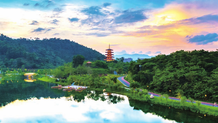 云浮新兴 :加快绘制城乡区域协调发展新图景__财经头条