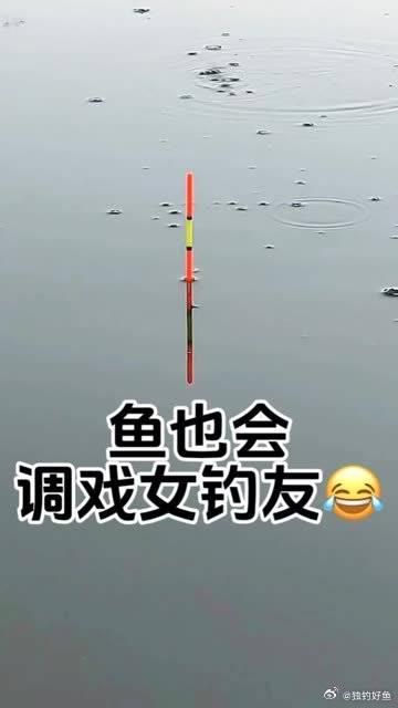 釣魚了女釣手釣魚人就是這麼瘋狂