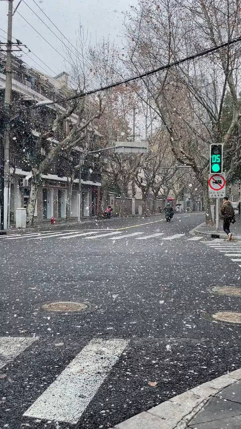 上海每次下雪就会想起薛之谦的认真的雪