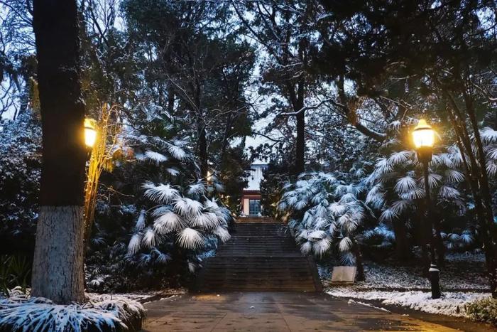 南京高校最美雪景大片来了