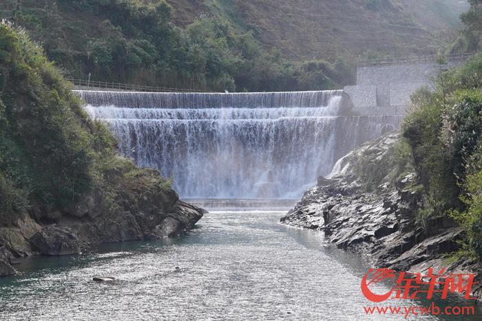 信宜三華李度假區農交旅融合升級引領農民致富