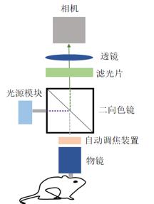 自動對焦超微型顯微成像系統為包含了微型光學器件,微型成像元件和