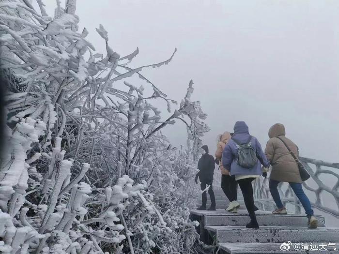 今冬首雪寒冷預警道路結冰廣東做好低溫冰凍安全防範工作