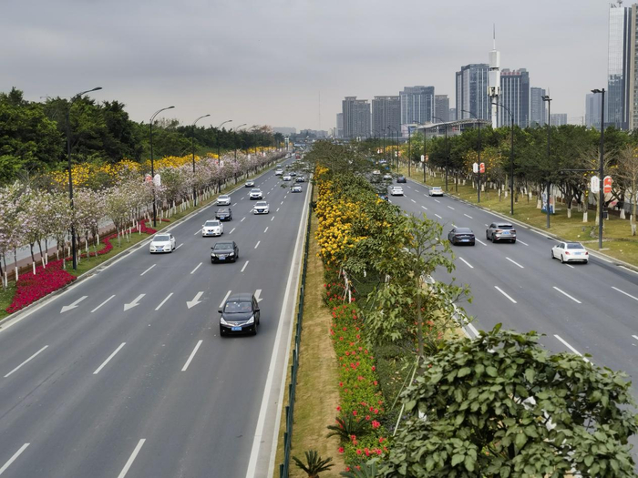 深中通道,串联金鼎,上冲,前山和南湾,终接港珠澳大桥连接线及南湾大道