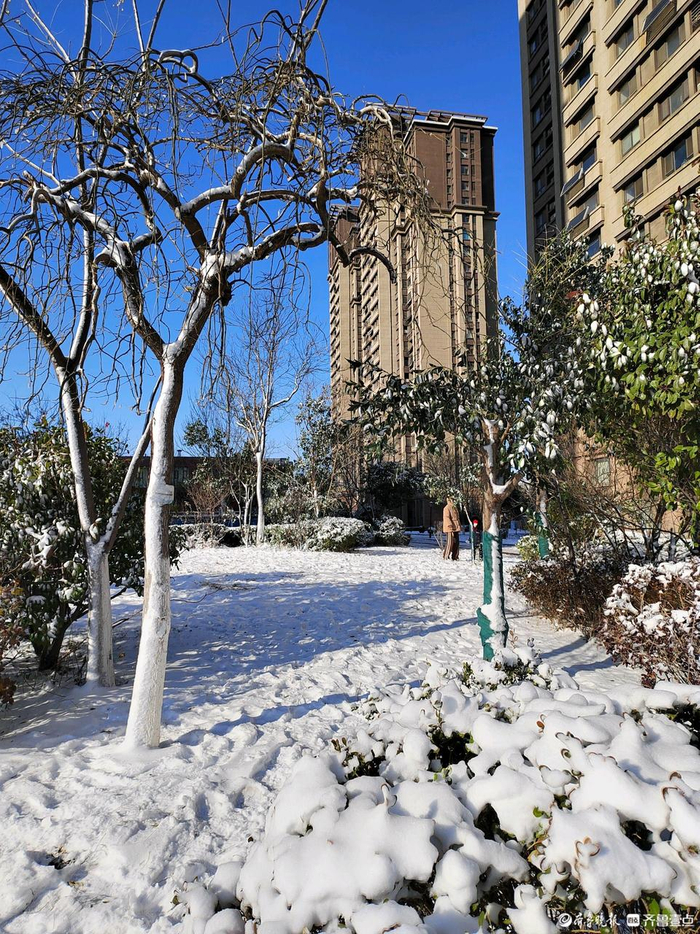 雪后初晴!壹点情报员镜头分享:天蓝雪白碧空如洗,美景如画!