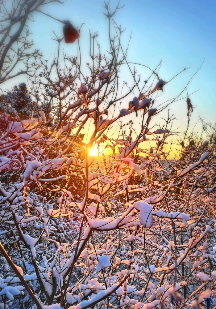 雪後初晴壹點情報員鏡頭分享天藍雪白碧空如洗美景如畫