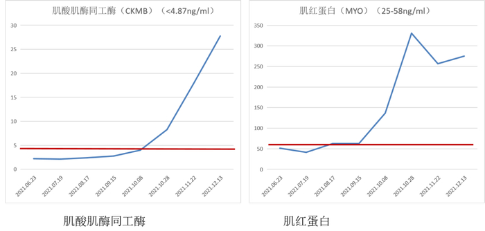 图9.  第三阶段治疗期间的肌酸激酶同工酶和肌红蛋白的变化示意图