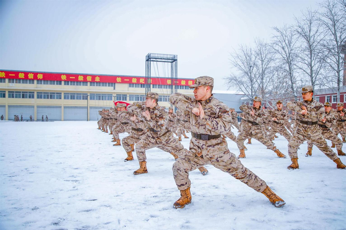 组图| 冬季大练兵,战斗力拉满!|北京市_新浪新闻