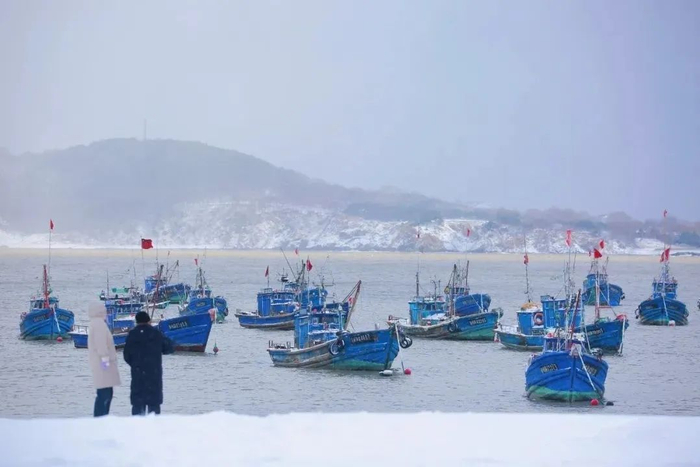 “雪窝”威海火了,全国各地游客来威海看雪景|威海市|山东省|大雪|工作|文登_新浪新闻