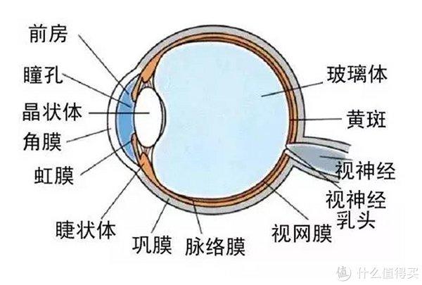 驚恐近視眼手術導致黃斑全部斷裂了現在眼睛快瞎了悔之不及