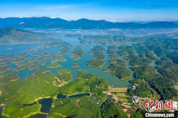 廣東開平孔雀湖省重要溼地.