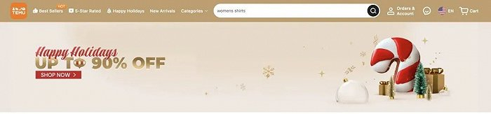 （Temu官网截图）