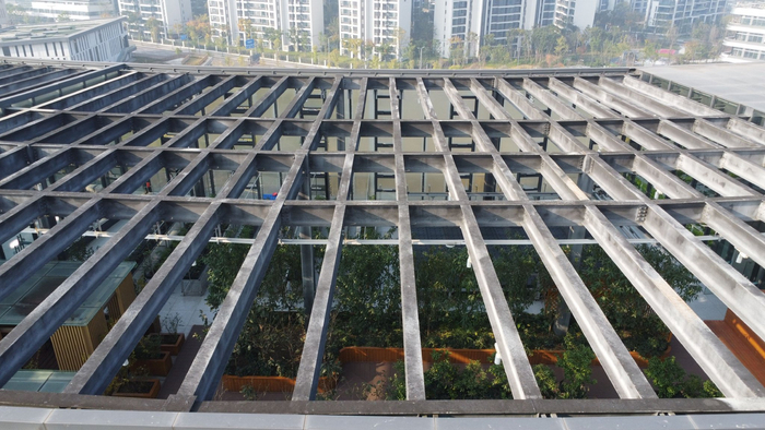 11月30日，从楼顶的框架缝隙中望去，作物在初冬还一片葱绿。新京报记者 周怀宗 摄