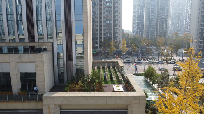 11月30日，成都市区的一处露台上，一家农业公司打造的露台农场，农场中种植着果树、辣椒等作物。新京报记者 周怀宗 摄