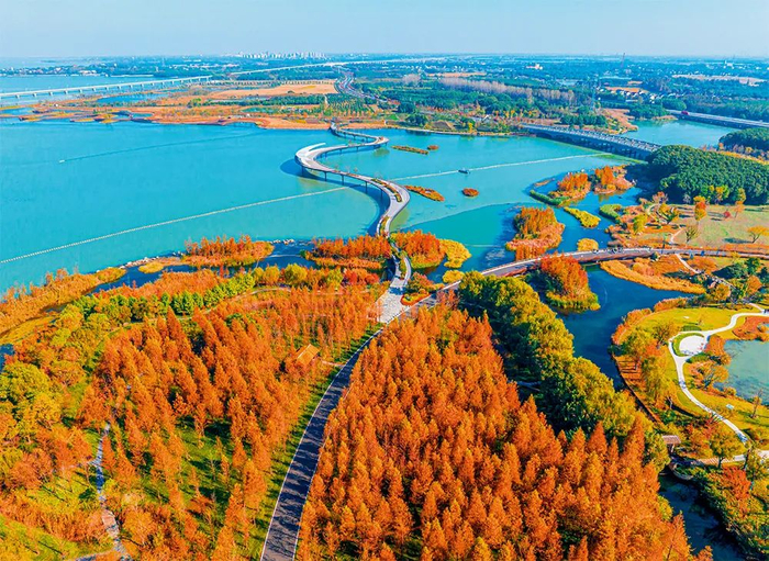 位于沪苏交界的元荡慢行桥（2023年12月6日摄）苏州市吴江区委宣传部供图