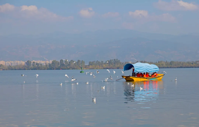 最安逸是西昌 | 任由阳光洒满身 赴一场浪漫的冬日暖阳之旅