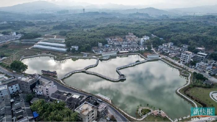 揭陽市揭西縣加快建設農業強縣做好土特產大文章聯農帶農高質量發展