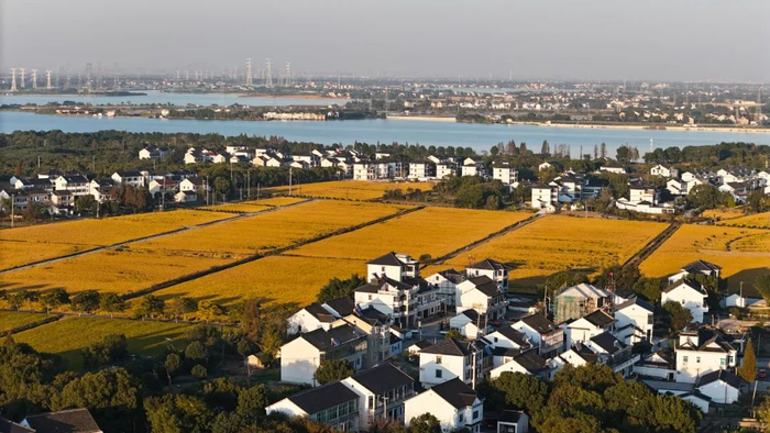 苏州吴江长漾片区一瞥 苏州市吴江区委宣传部供图